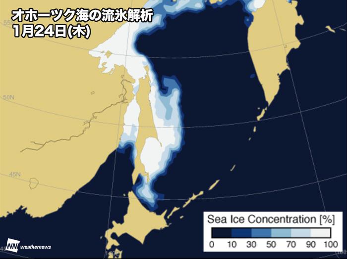 北海道 知床半島に流氷が接岸 ウェザーニュース