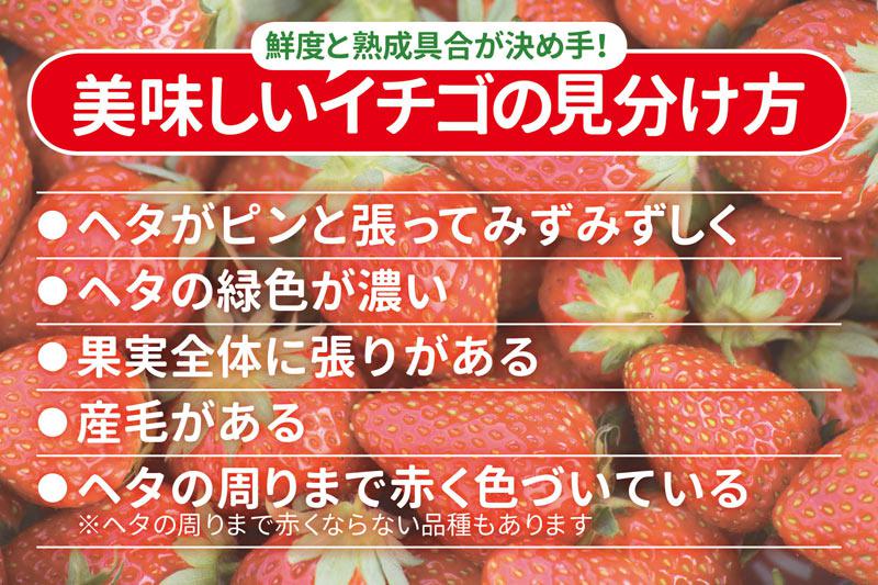 旬のおいしいイチゴの見分け方と食べ方 ウェザーニュース