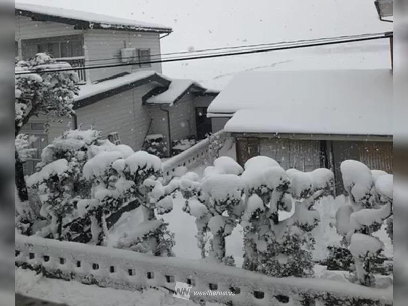積雪 量 市 米沢