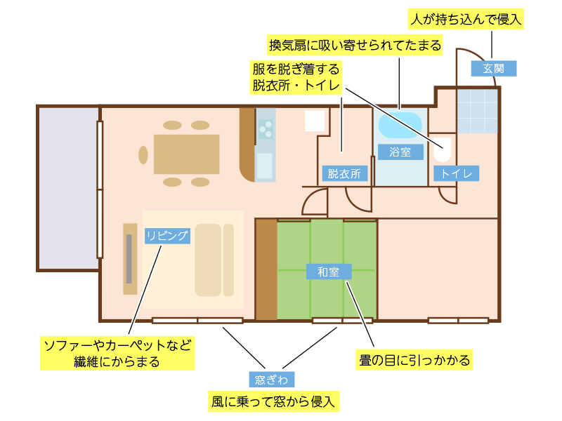 知っておくべき 花粉の季節のお掃除 基本5箇条 ウェザーニュース