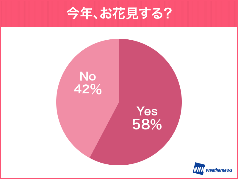 日本人の98 が桜好き 今年は5人に3人がお花見 ウェザーニュース