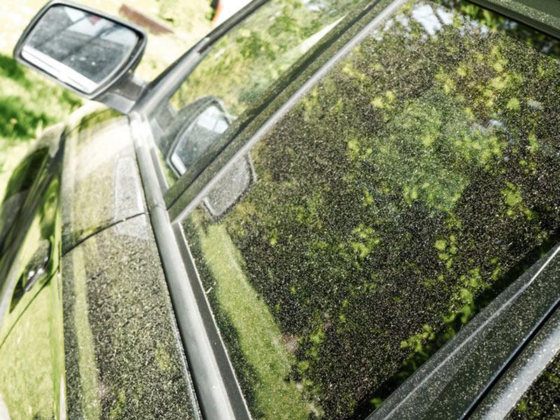 花粉は車のボディにも悪影響 付着を防ぐ3つの対策 ウェザーニュース