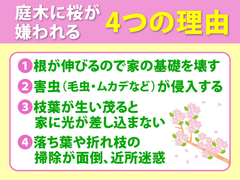 家の庭に桜を見かけないワケ - ウェザーニュース