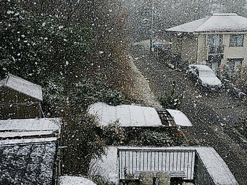 京都府内で雪 宮城県内などではアラレ ウェザーニュース