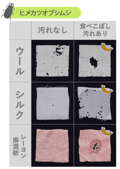 冬服の虫食いを防ぐ秘訣は 大型連休までの しまい洗い ウェザーニュース