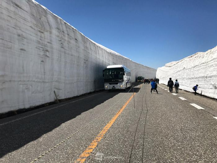 立山黒部アルペンルート 15日に全面開通 今年は約16mの雪の壁 ウェザーニュース