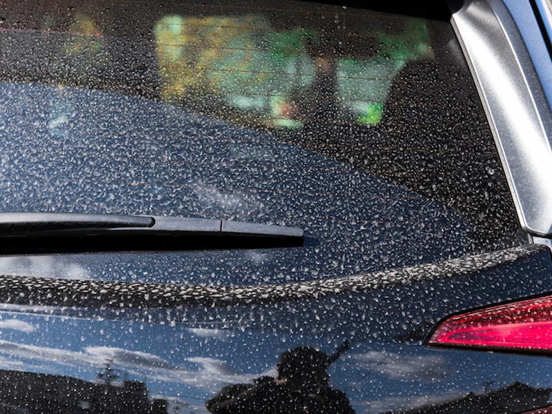 9割の人が気にしている車の汚れ 春の洗車3つの原則 ウェザーニュース