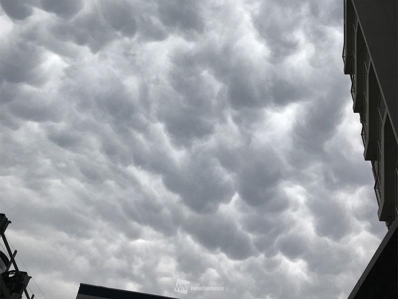 東京 埼玉に 乳房雲 出現 発達した雨雲が南下中 ウェザーニュース