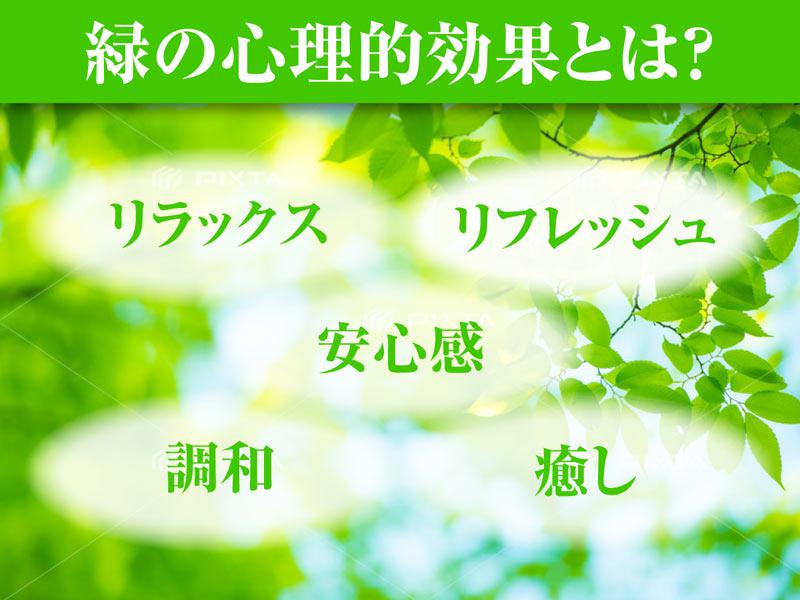 心を動かす季節の色 新緑 を眺めると心が安らぐ理由とは ウェザーニュース