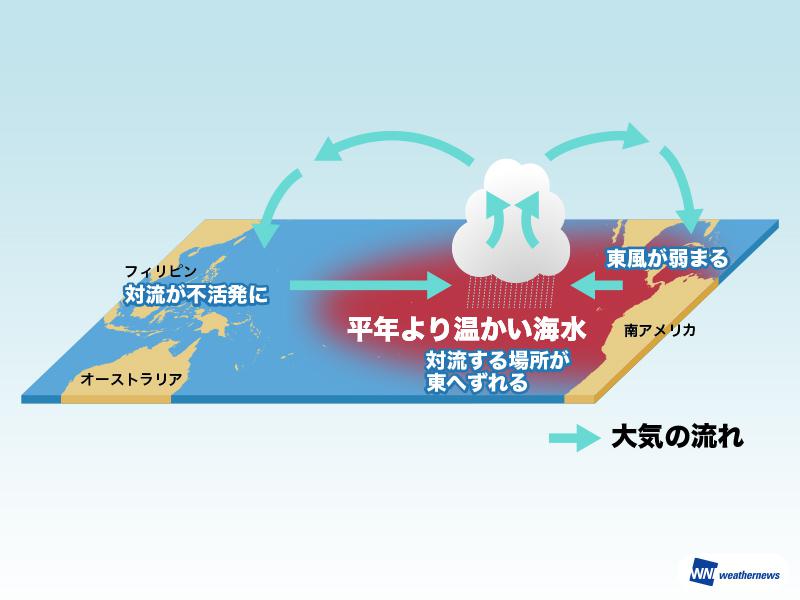 今年の台風発生数は27個前後 長寿台風が増える傾向に ウェザーニュース