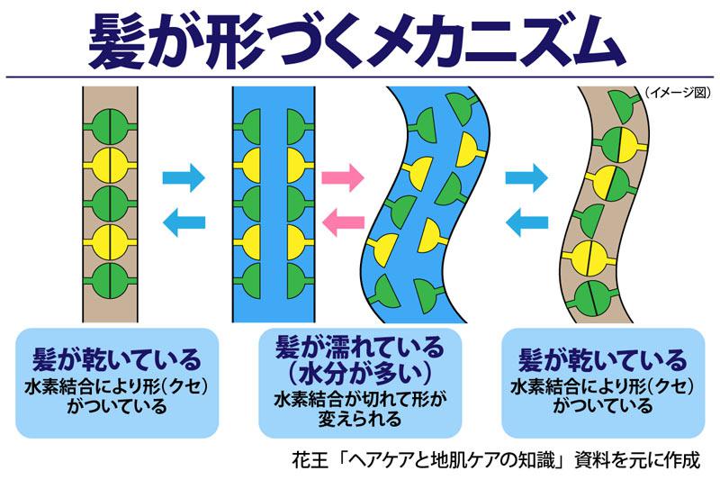 くせ毛の湿気対策 梅雨でも髪型が崩れにくくなるコツ ウェザーニュース