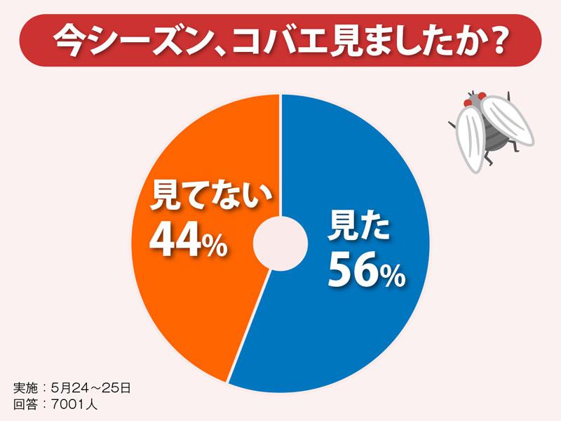 アッという間に大発生 コバエはどうして湧くの ウェザーニュース