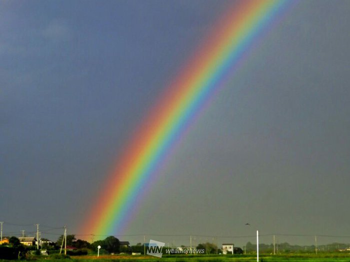 虹といえば7色 じつは国によって見え方が違う ウェザーニュース