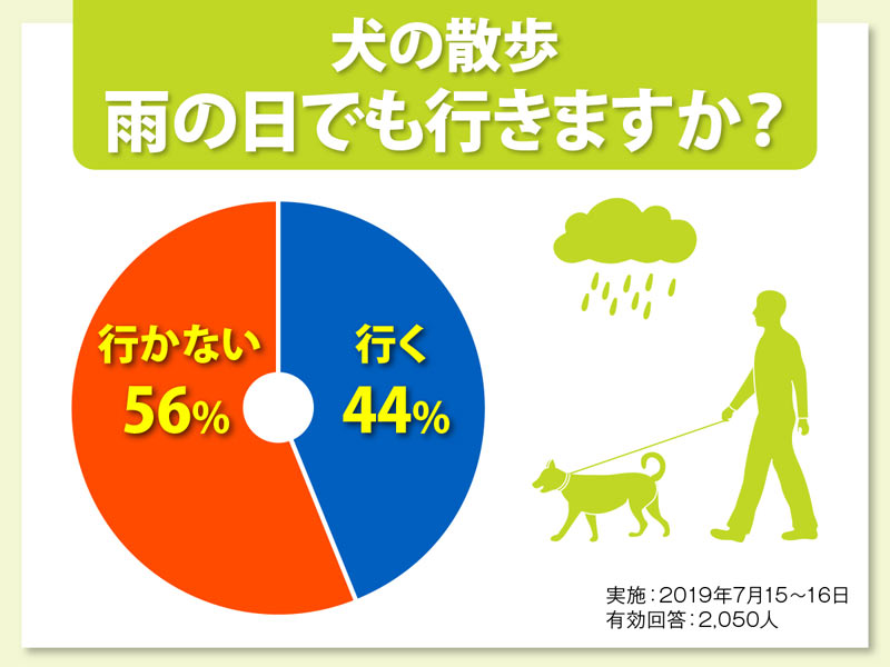 雨で散歩断念 愛犬のストレス解消法は ウェザーニュース