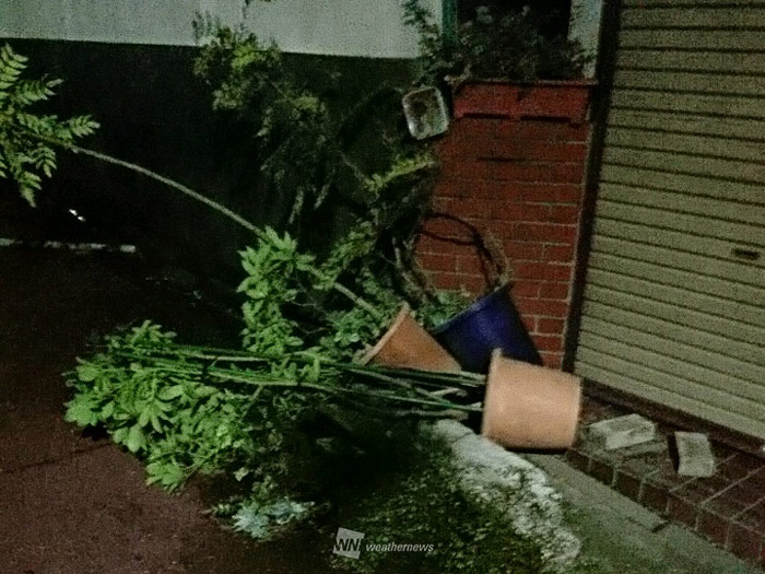 台風15号 東京など首都圏 記録的な暴風で停電被害相次ぐおそれ ウェザーニュース