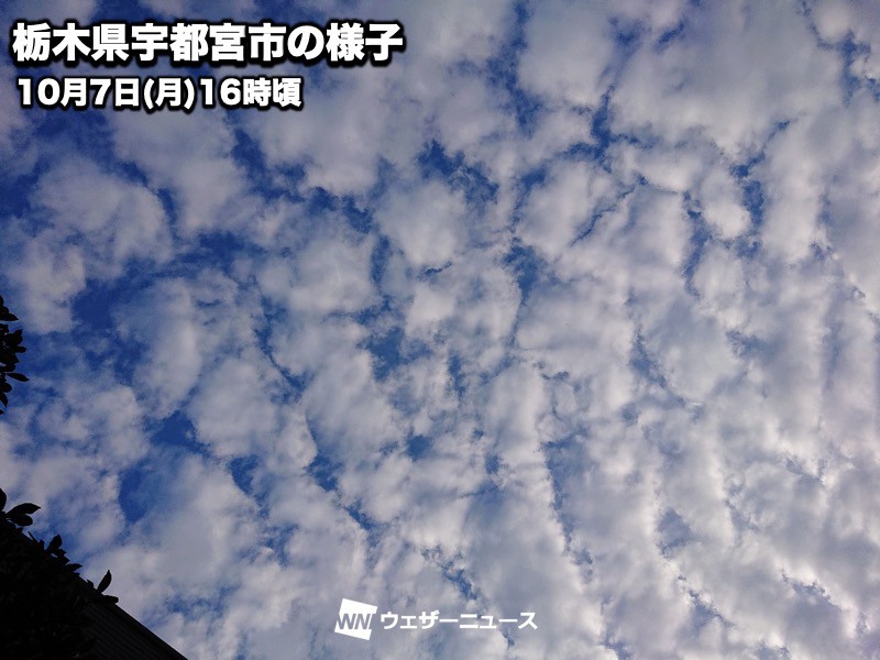 秋の雲 うろこ雲とひつじ雲を見分ける方法 ウェザーニュース