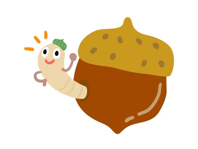 地面にどっさり どんぐり拾いに出かけよう ウェザーニュース