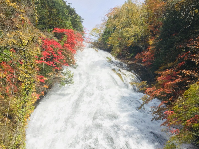 美しく染まる奥日光 日光東照宮の紅葉は来週末には見頃へ ウェザーニュース