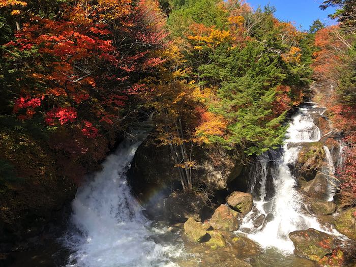 美しく染まる奥日光 日光東照宮の紅葉は来週末には見頃へ ウェザーニュース