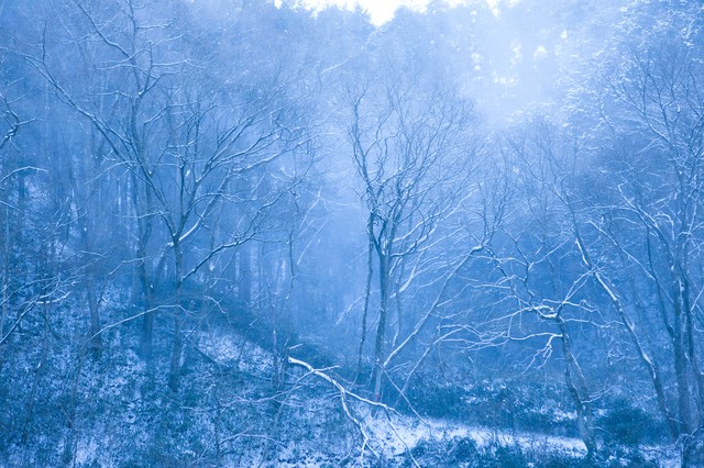 雪の名前 ウェザーニュース 雪の名前 ウェザーニュース