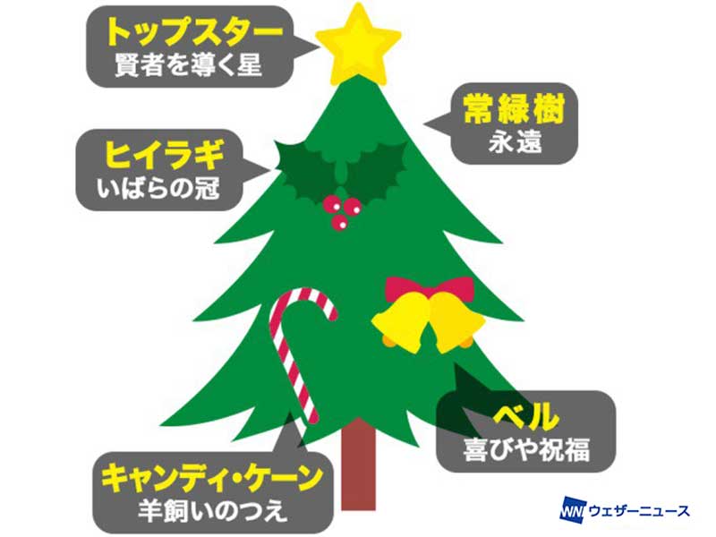 イルミネーションの豆知識 クリスマスツリー ウェザーニュース