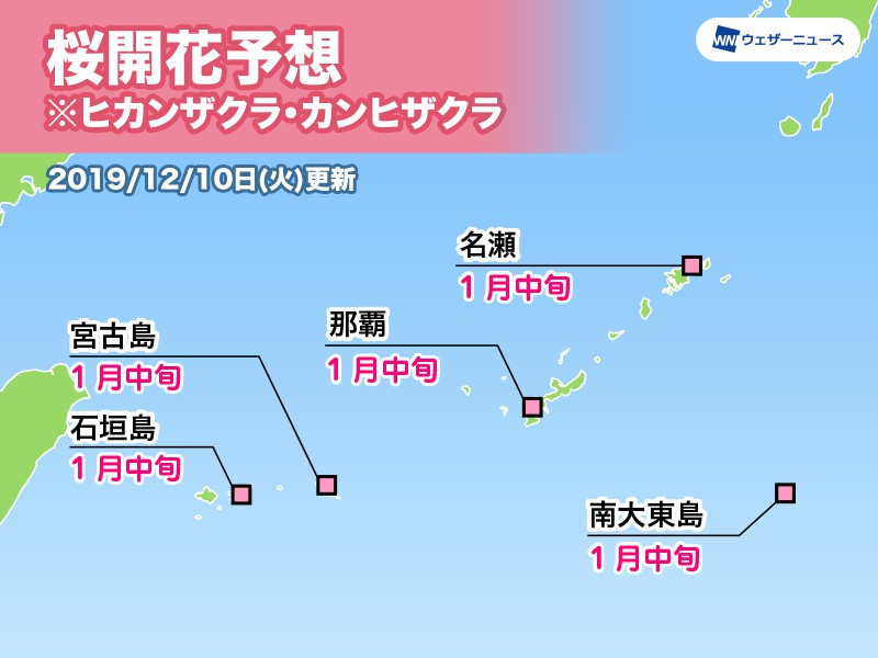 沖縄 奄美地方の桜開花予想 開花は平年並み ウェザーニュース
