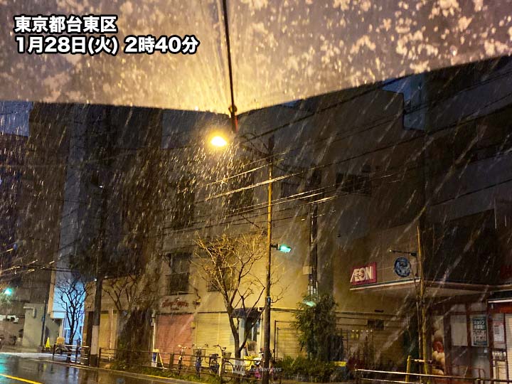 都心周辺でも雪 東京23区西部では車や屋根に積雪 ウェザーニュース