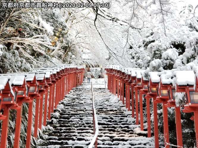 京都で雪景色 古都を白く染める雪 ウェザーニュース