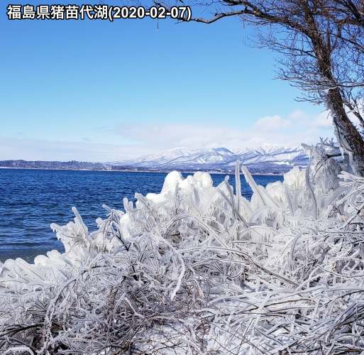 真冬の風物詩 猪苗代湖の しぶき氷 が見頃 ウェザーニュース