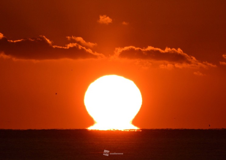 福島県で だるま朝日 冷え込みでくびれた太陽に ウェザーニュース