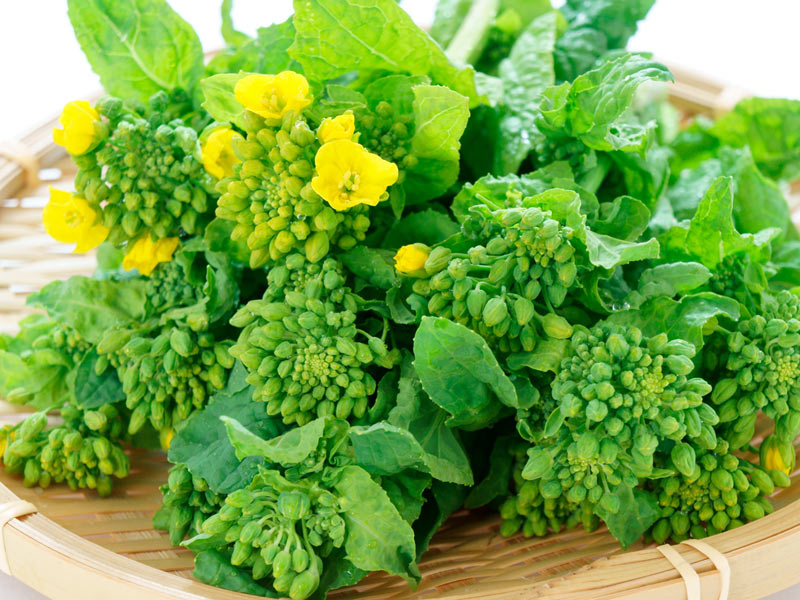 免疫力アップ 冬から春が旬の 菜花 菜の花 の健康効果 ウェザーニュース