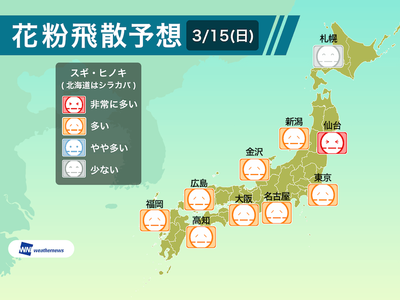 3月15日 日 の花粉飛散予想 晴れて広く飛散量が増加 ウェザーニュース