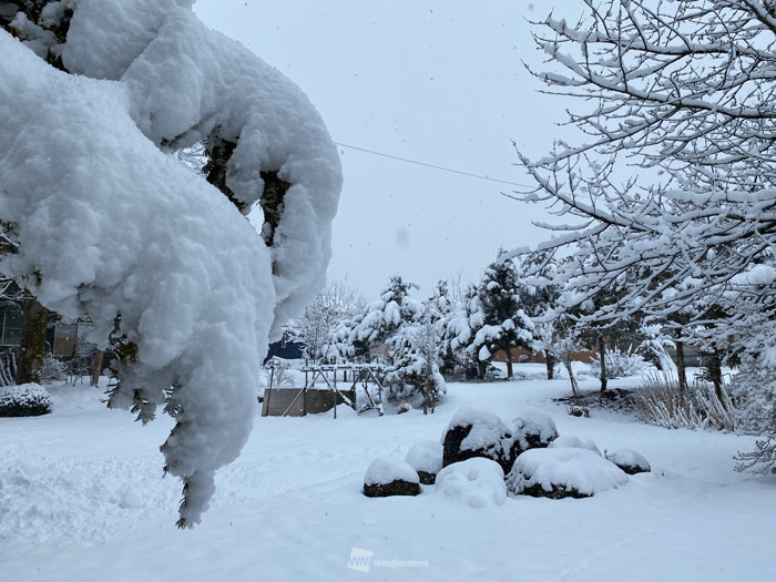 強雪エリアは北陸や東北へ 大気の状態不安定 雹やあられにも注意 ウェザーニュース