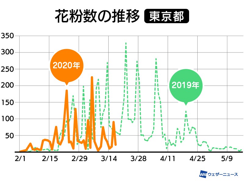 東京のスギ花粉はピーク越え 3月下旬にはヒノキ花粉が本格化 ウェザーニュース