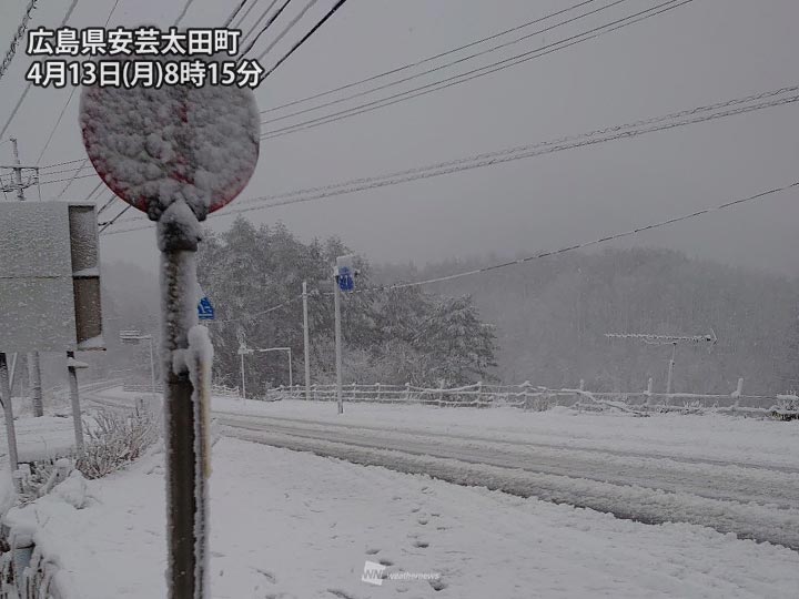 中四国の山間部で大雪 午後は関東甲信や東北の山も積雪注意 ウェザーニュース