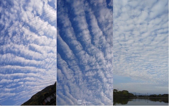 九州各地で波状雲が出現　西日本の雨の予兆前線の接近に伴う「波状雲」前線の接近に伴う「波状雲」西日本の広範囲で雨に参考資料など