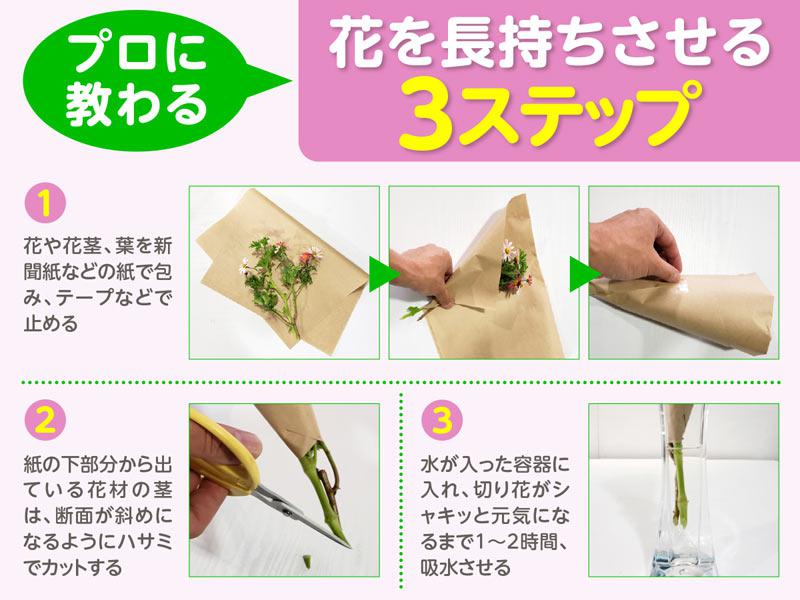 花を長持ちさせる簡単プロの技 ウェザーニュース 花を長持ちさせる簡単プロの技 ウェザーニュース