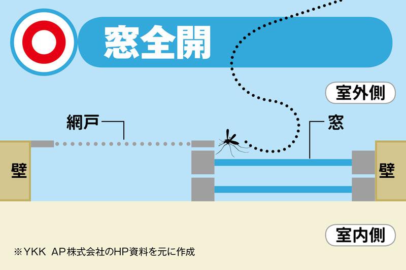 虫を家に入れない 網戸や窓の閉め方 ウェザーニュース