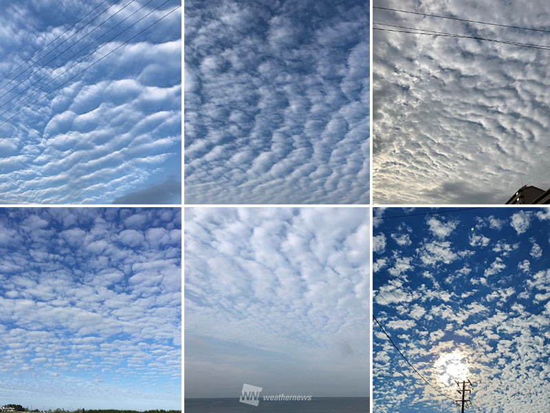 関東など各地でうろこ雲やひつじ雲に波状雲 今日は空の雲に注目 ウェザーニュース