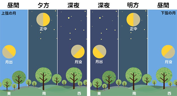30日 土 は上弦の月 見える時間や名前の由来とは ウェザーニュース