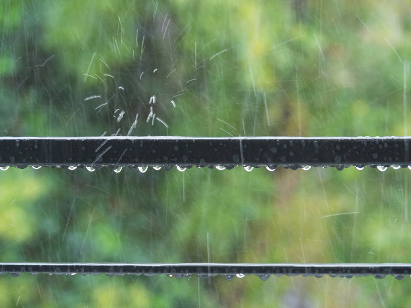 五月雨 群雨 梅雨 趣深い雨の言葉いくつ知っていますか ウェザーニュース