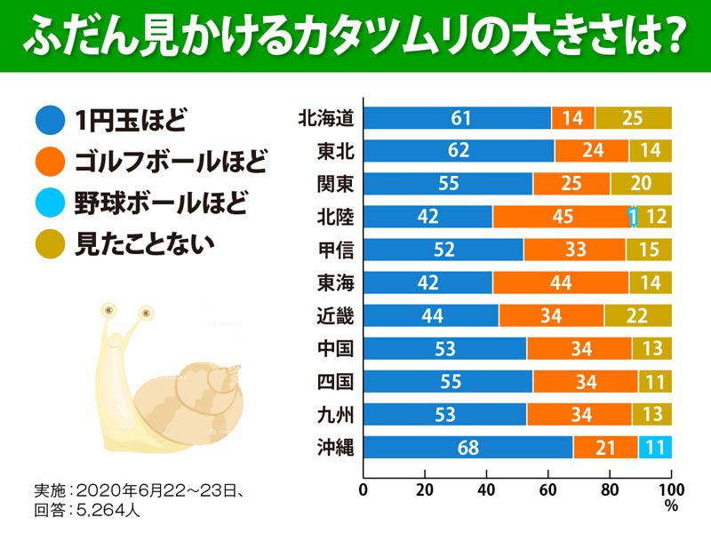 カタツムリが日本に800種 あなたの街の ご当地カタツムリ は ウェザーニュース