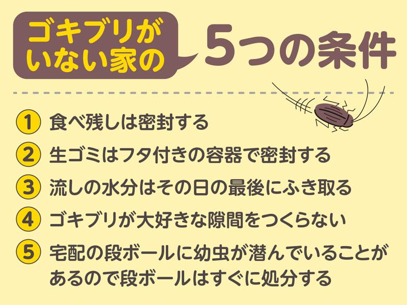 ゴキブリがいない家 5つの条件とは ウェザーニュース