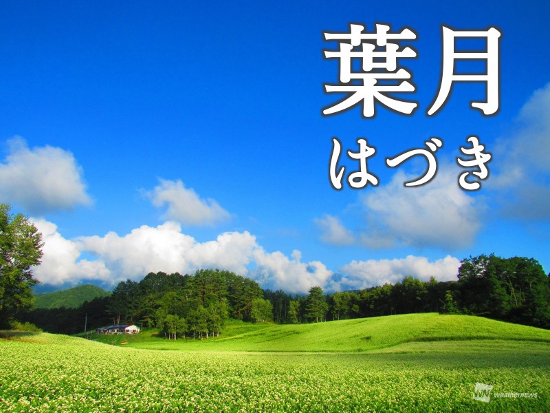 8月の異名 葉月 語源からは早くも秋の気配 ウェザーニュース