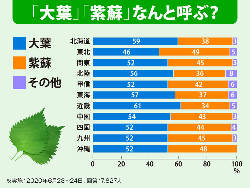 大葉 と 紫蘇 って何が違うの ウェザーニュース