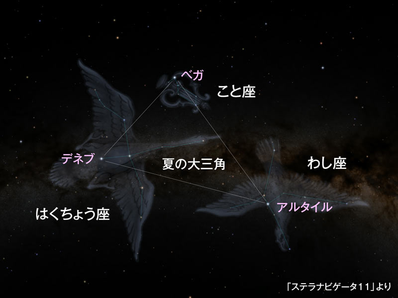 夏の夜空を眺めてみよう 8月の星空は 夏の大三角 と サソリの心臓 に注目 ウェザーニュース