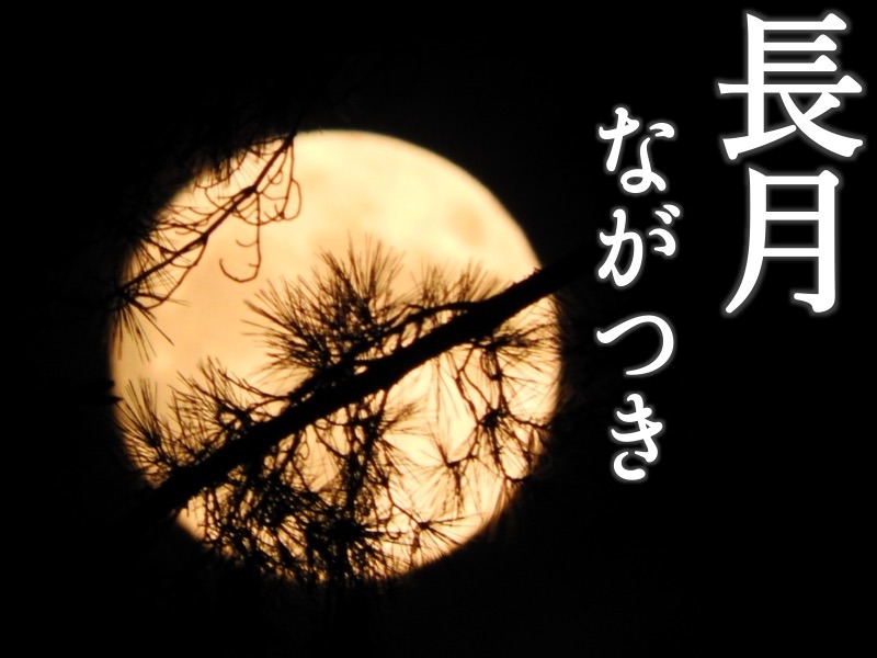 秋の情景が浮かぶ　9月の異名「長月」「長月」の由来とは秋の景色が目に浮かぶ参考資料など