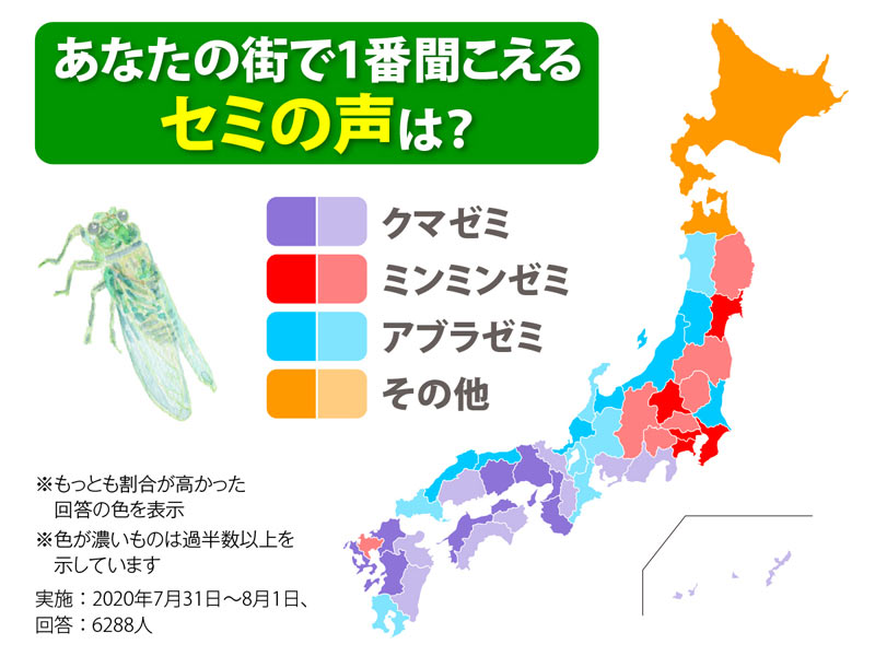 アンケートで検証 あなたの街で1番聞こえるセミの声は ウェザーニュース