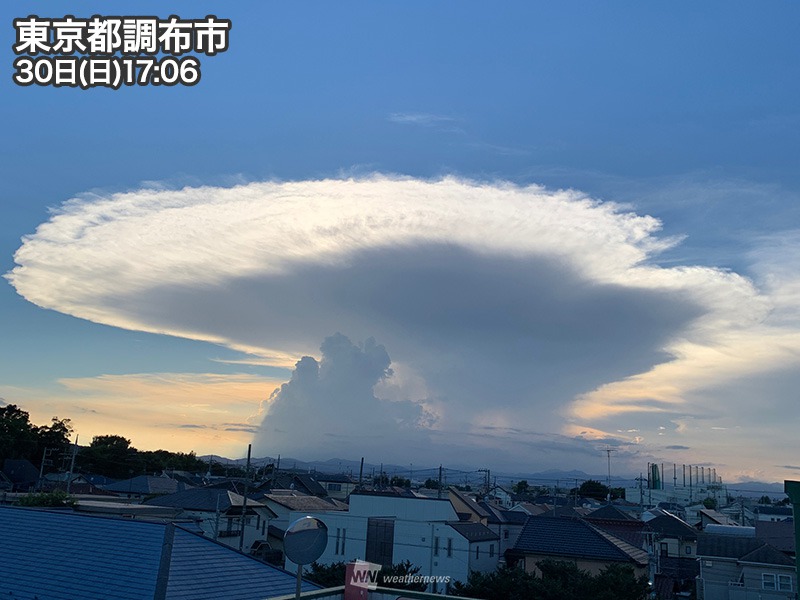 東京など関東南部で かなとこ雲 が目撃される 年8月30日 Biglobeニュース