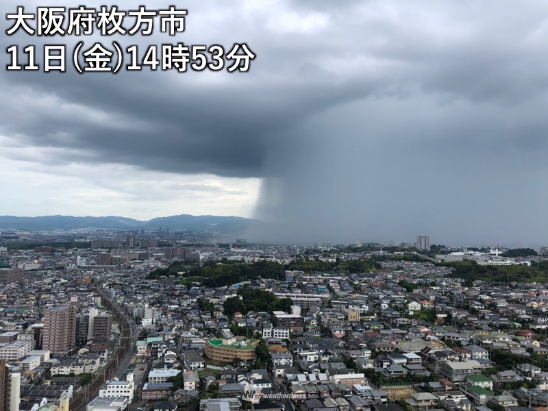 大阪でゲリラ豪雨をもたらす巨大雨柱 局地的な激しい雨に ウェザーニュース